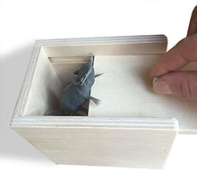 Load image into Gallery viewer, Wooden Surprise Box, Mouse, A Funny Practical Joke Toy
