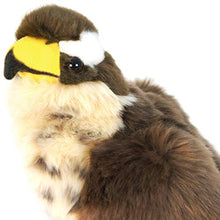 Load image into Gallery viewer, Percival The Peregrine Falcon - 9 Inch Hawk Stuffed Animal Plush Bird - by Tiger Tale Toys
