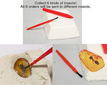 Load image into Gallery viewer, Real Insect Fossil Excavation Kit, Real Bug Dig in Amber Replica 1 Ea, Great Science Gift
