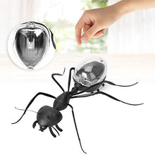 Load image into Gallery viewer, A sixx Funny Toy, Educational Toys, Built-in Miniature Vibrating Motor Solar Powered Insect for Entertainment Kids Above 7 Years Old Prank Toy
