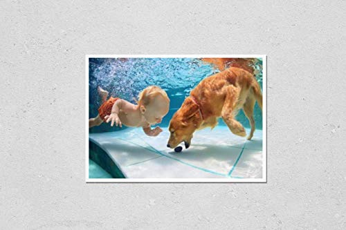 KwikMedia Poster Reproduction of Funny Little Child Play with Fun and Train Golden Labrador Retriever Puppy in Swimming Pool, Jump and Dive deep Down Underwater. Active Water Games with Family Pets