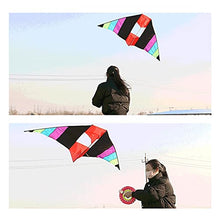 Load image into Gallery viewer, ZANZAN Three-Dimensional Kite Kite for Beach Parks Etc,Beginner Kite with Kite String and Kite Reel for Children and Adults-Color (Color : 300M LINE)
