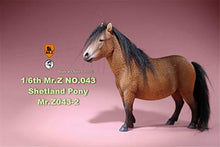 Load image into Gallery viewer, Mr.Z 1/6 Shetland Pony Horse Figure Equidae Farm Animal Model Realistic Educational Painted Figure Resin Perissodactyla Toys Collector Home Decoration Gift Birthday for Adult (Brown)
