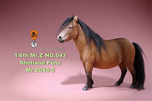 Mr.Z 1/6 Shetland Pony Horse Figure Equidae Farm Animal Model Realistic Educational Painted Figure Resin Perissodactyla Toys Collector Home Decoration Gift Birthday for Adult (Brown)
