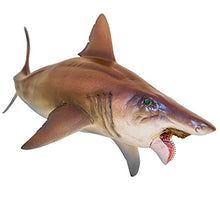 Load image into Gallery viewer, PNSO Prehistoric Dinosaur Models: 43 Haylee The Helicoprion
