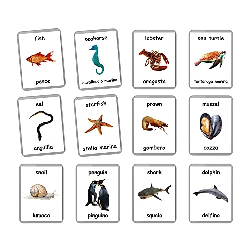 Sea Animals Flash Cards - 26 Laminated Flashcards | Ocean Animals | Water Animals | Homeschool | Multilingual Flash Cards | Bilingual Flashcards - Choose Your Language (Italian + English)