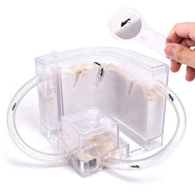 Load image into Gallery viewer, NAVADEAL Sand Ant Farm with Connecting Tubes, Habitat Educational &amp; Learning Science Kit Toy for Kids &amp; Adults - Allows Study of Ecosystem, Behavior of Ants, Explore The World at Home and School
