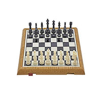 LTCTL Magnetic Travel Chess Set with Folding Chess Board Storage Bag for Pieces Travel Chess Board Suitable for Beginners (Size : X- Large)