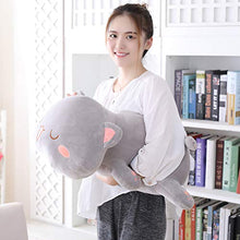 Load image into Gallery viewer, Cat Plush Hugging Pillow, Soft Kitten Cat Stuffed Animals Toy Gifts for Kids (Grey Squint Eyes, 25.5&quot;)
