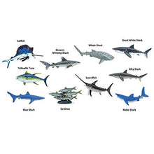 Load image into Gallery viewer, Safari Ltd. TOOB - Pelagic Fish - Quality Construction from Phthalate, Lead and BPA Free Materials - for Ages 3 and Up
