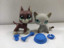 Load image into Gallery viewer, 2pcs/Lot Set Pets Littlest Pet Shop LPS Great Dane Dog Grey Brown Cat Kitty Green Brow Eyes lps Figure Toys Rare with Accessories
