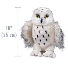 Load image into Gallery viewer, Douglas Legend Snowy Owl Plush Stuffed Animal
