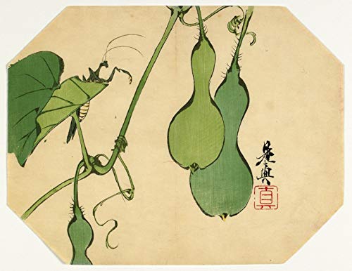 Japanese Art Ukiyoe Shibata Gourds On A Vine with A Mantis Jigsaw Puzzle Adult Wooden Toy 1000 Piece