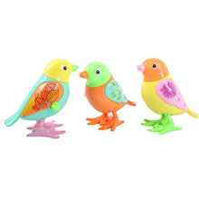 Load image into Gallery viewer, Toyvian 3pcs Wind Up Toy Plastic Clockwork Bird Toy Wind Up Animal Party Favors Toy Gift for Boys Girls Kids Toddlers (Random Color)
