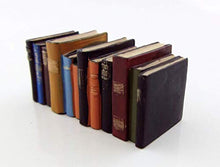 Load image into Gallery viewer, Houseworks, Ltd. Dolls House Miniature Study Library Office Accessory Row of Old Worn Books
