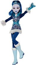 Load image into Gallery viewer, DC Super Hero Girls Frost 12&quot; Action Doll
