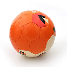 Load image into Gallery viewer, Daball Kid and Toddler Soccer Ball - Size 1 and Size 3, Pump and Gift Box Included (Size 1, Terry, The Fox)
