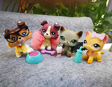 Load image into Gallery viewer, LPSOLD LPS Collie 1262 58 Paw Raised Up Red Brown Blue Eyes Dog Puppy LPS Shorthair Cat 391 339 Grey Yellow Kitten Kitty with Accessories Lot Collection Boys Girls Gift Toy Figure 4 PCS
