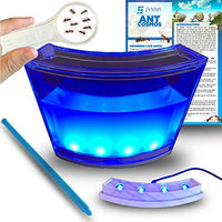 Amazing Ant Habitat W/ LED Light. Enjoy A Magnificent Habitat. Great for Kids & Adults. Evviva Ant Ecosystem W/ Enhanced Blue Gel. Educational & Learning Science Kit. Live Ants Not Included