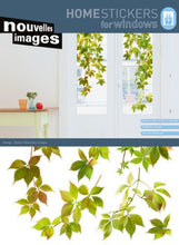 Load image into Gallery viewer, Home Stickers Virginia Creeper Decorative Window Stickers, X-Large
