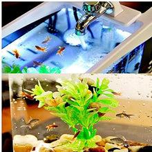 Load image into Gallery viewer, Mini Goldfish Bowl Table Lamp Small Multifunctional Ecological Aquarium Office Decoration Fish Tank Clock USB Night Light
