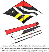 Load image into Gallery viewer, LSDRALOBBEB Kites for Kids Kites for The Beach Tropical Fish-Shaped Beginner Kite for Adults Kids,Easy-to-Assemble Kite Without Kite String,Perfect for Beach Trip-4Colors 928(Color:4-Set)
