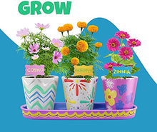 Load image into Gallery viewer, Paint &amp; Plant Stoneware Flower Gardening Kit - Gifts for Girls &amp; Boys Ages 4-12 - Kids Arts &amp; Crafts Project Science Birthday Gift, STEM Activity for Age 4, 5, 6, 7, 8, 9, 10, 11 &amp; 12 Year Old Girl
