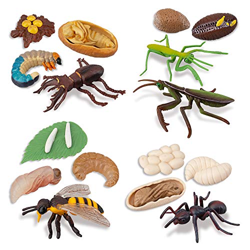 TOYMANY 16PCS Insect Figurines Life Cycle of Stag Beetle,Honey Bee,Mantis,Ant Plastic Safariology Bug Figures Toy Kit Caterpillars to Butterflies Educational School Project for Kids Toddlers