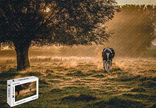 PigBangbang,20.6 X 15.1 Inch,Intellectiv Games Basswood Jigsaw Puzzle with Glue - Morning Scenery Fog Cow - 500 Piece Jigsaw Puzzle