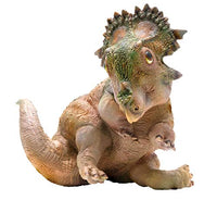 PNSO A-qi Young Sinoceratops Figure Ceratopsidae Dinosaur Triceratops Model Realistic PVC Animal Collector Toys Decor Gift for Adult