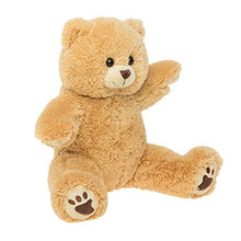 Load image into Gallery viewer, PERSONAL Recordable Plush 15&quot; Talking Teddy Bear
