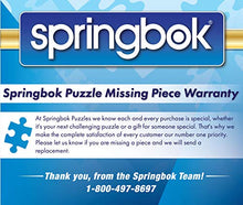 Load image into Gallery viewer, Springbok Puzzles - Cookies &amp; Christmas - 500 Piece Jigsaw Puzzle - Large 20 Inches by 20 Inches Puzzle - Made in USA - Unique Cut Interlocking Pieces
