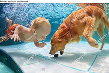 Load image into Gallery viewer, KwikMedia Poster Reproduction of Funny Little Child Play with Fun and Train Golden Labrador Retriever Puppy in Swimming Pool, Jump and Dive deep Down Underwater. Active Water Games with Family Pets
