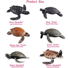 Load image into Gallery viewer, HOMNIVE Turtle Figurines - 6pcs Realistic Ocean Sea Animal - Plastic Hawksbill Sea Turtle Figures Set - Educational Learning Toys for Boys Girls Kids Toddlers
