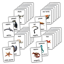 Load image into Gallery viewer, Sea Animals Flash Cards - 26 Laminated Flashcards | Ocean Animals | Water Animals | Homeschool | Multilingual Flash Cards | Bilingual Flashcards - Choose Your Language (Italian + English)

