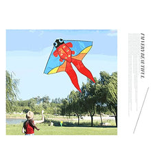 Load image into Gallery viewer, ZANZAN Color Splicing Goldfish-Shaped Kite with Kite Line and Kite Reel,Easy to Fly,Easy to Assemble Kite for Beach Trip-Blue/Red (Color : Red, Size : 200M LINE)
