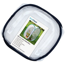 Load image into Gallery viewer, RESTCLOUD Insect and Butterfly Habitat Cage Terrarium Pop-up 12 X 12 X 12 Inches
