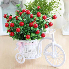 Load image into Gallery viewer, Venbin Mini Tricycle Rattan Tricycle Plastic Flower Plant Frame Garden Home Decoration

