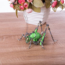 Load image into Gallery viewer, XSHION 3D Metal Puzzle Cricket Model, DIY Assembly Mechanical Insect Model Stainless Steel Building Kit Jigsaw Puzzle Brain Teaser, Desk Ornament, Green Cricket
