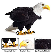 Load image into Gallery viewer, FLORMOON Bald Eagle Figure Realistic Animal Figurines Early Educational Bird Toy Science Project Christmas Birthday Cake Topper for Kids Toddler
