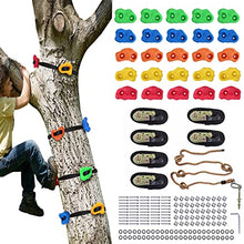 Load image into Gallery viewer, BIGLUFU 25 Pack Climbing Rock for Kids, Climbing Holds Set with 6 Ratchet Straps, 11FT Long Climb Rope, A Full Sets of Mounting Screws, All-in-One Kids Play Sets for Indoor and Outdoor
