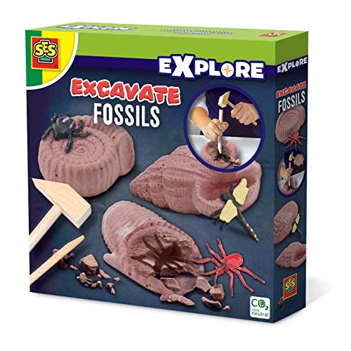 SES Creative 25066 Excavate Fossils