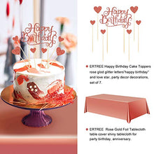 Load image into Gallery viewer, Rose Gold 25th Birthday Party Decorations for Women (Her), 25 Birthday Party Supplies including Happy Birthday Balloons, Fringe Curtain, Tablecloth, Photo Props, Foil Balloons, Sash and Tiara
