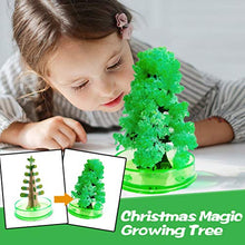 Load image into Gallery viewer, Magic Crystal Growing Christmas Paper Tree, Novelty Children&#39;s Toys Gifts,Magic Bonsai Xmas Stocking Filler Gift,DIY Magic Growing Tree, Your Own Fun Xmas Gift Toy (Green)
