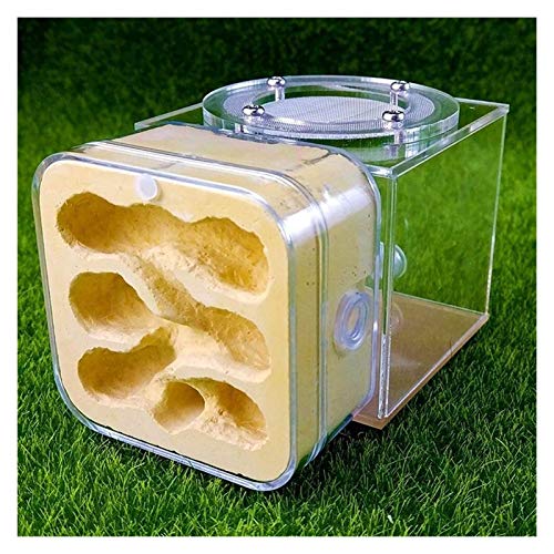 LLNN Insect Villa Acryl Ant Farm DIY Nest, Plaster Ant Nest Acrylic Ants Farm Kids DIY Educational Toys Pet Ants Insect Cages Children Birthday Gifts Festival Birthday Gift (Color : A)
