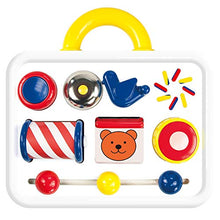 Load image into Gallery viewer, Galt Ambi Toys, Activity Case, Multicolor
