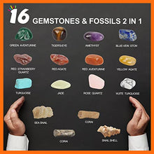 Load image into Gallery viewer, GILI Gemstone and Fossil Dig Kit, Learning &amp; Education Toys for Kids 6-8, Shining Crystals and Sea Fossils in 4 Digging Bricks, Christmas and Birthday Gift for 6 7 9 10 Year Old Girls Boys
