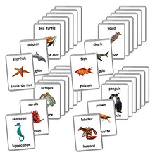 Load image into Gallery viewer, Sea Animals Flash Cards - 26 Laminated Flashcards | Ocean Animals | Water Animals | Homeschool | Multilingual Flash Cards | Bilingual Flashcards - Choose Your Language (French + English)
