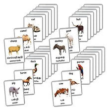 Load image into Gallery viewer, Farm Animals Flash Cards - 27 Laminated Flashcards | Homeschool | Montessori Materials | Multilingual Flash Cards | Bilingual Flashcards - Choose Your Language (Tamil + English)
