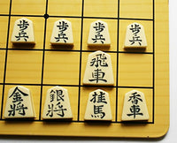 ACHICOO Japanese Chess: Folding Travel Magnetic Shogi Set- 9.75`` Kid GIFS